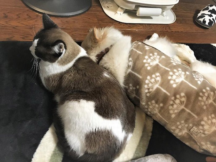 ストーブの前では距離が縮まる〔写真提供展子さん〕