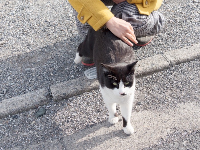 ごはんをもらって、おなかいっぱい。(小林写函撮影)