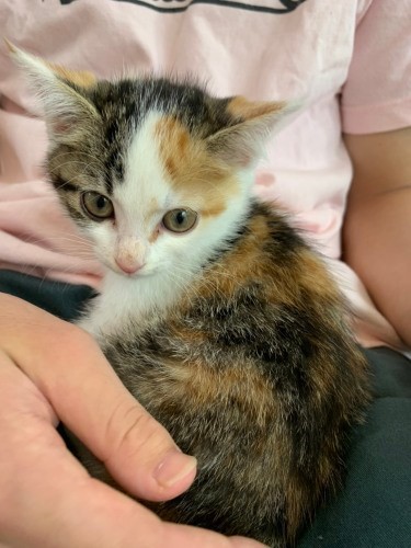 チムとお見合いした時。優香さんは「また胸きゅん」(優香さん提供)