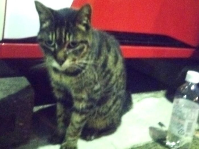 2年前に急にお家がなくなってしまって