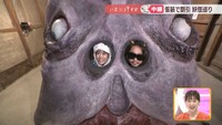 仮装で割引!妖怪美術館で「妖怪ハロウィンまつり」 SNSなどをモチーフにした新種の妖怪も 香川・小豆島町【いまココ!ナビ】