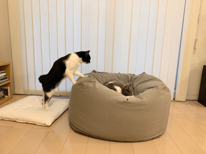 たまにはやりかえしてみる?