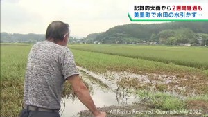2週間以上経っても水引かず…記録的大雨で出来川決壊の宮城・美里町 稲の被害深刻