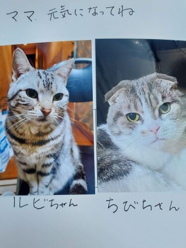 母の病室に届けた写真。コロナ対策で面会禁止のため、ナースステーションに預けました