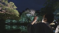 新しい花見の形 栗林公園で“オンライン”花見のイベント 高松市