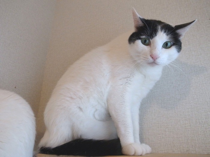 きりっと頼れる兄貴の一面も