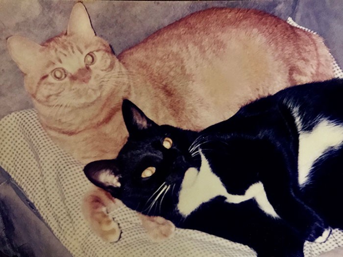 当時、1歳の時の竹と梅