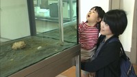 来場者が10万人を突破 3年に1度開かれる現代アートの展覧会「岡山芸術交流」