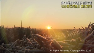 宮城県各地で今シーズン一番の冷え込み 最低気温が氷点下の地点も