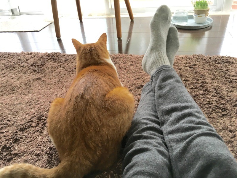 Yさんの隣が金太郎の定位置(Yさん提供)