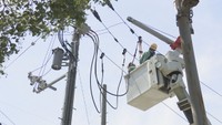 災害時の停電に備え四国で初の合同訓練 高さ12mで復旧作業 高松市