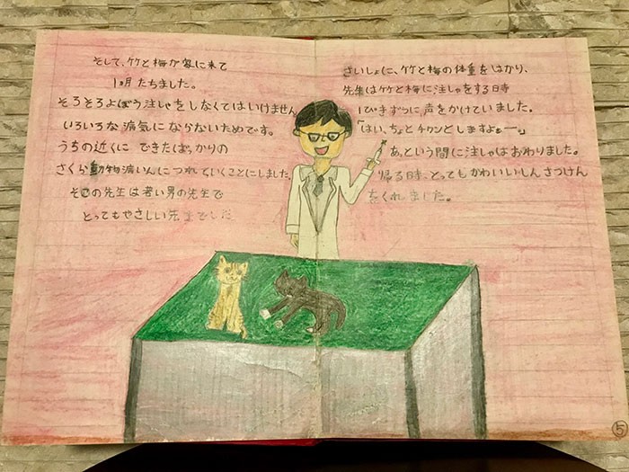 竹と梅を初めて病院へ連れて行った時の様子