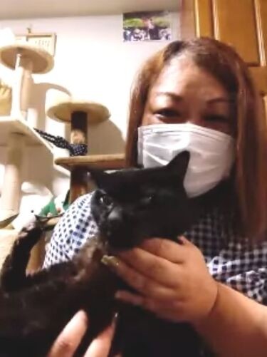 体調を気遣い取材はリモートでしたが、恵子さんに抱かれて「にゃ(こんにちは)」と登場してくれました(恵子さん提供)