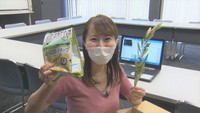 香川・小豆島産オリーブオイルを使った新作ポテチ 「オンラインツアー形式」で発表
