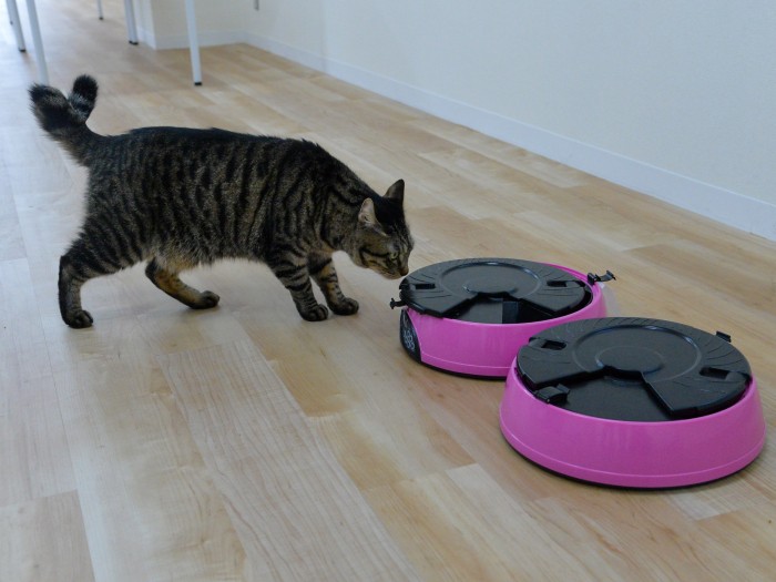 「これが自動給餌器だよ」(小林郁人撮影)