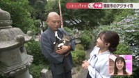 【中継】梅雨の風物詩・アジサイ 備前市の大瀧山西法院で見頃に 岡山【いまココ!ナビ】