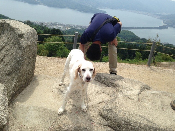 14歳2カ月 天橋立「パパが逆さに見ているよ」(長谷川さん提供)