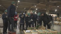 野菜の高値はしばらく続きそう…4月移転予定の青果棟で最後の初競り 高松市中央卸売市場