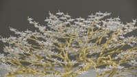 東日本大震災がきっかけの作品も…「祈り」がテーマの展覧会 岡山・瀬戸内市立美術館