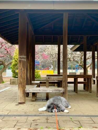 七海のベンチ巡り1 絶対動かない