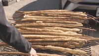 冬の味覚「じねんじょ」の収穫 おすすめの食べ方は? 香川・東かがわ市