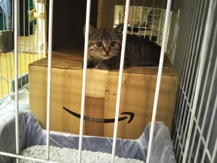 「最初はすべてが怖くて、ドキドキしてたの」