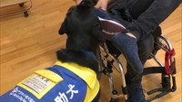 見かけたら優しく見守って 岡山市の小学校で介助犬への理解を深めるイベント
