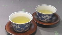 種類によって木が違う?おいしくなる適温は? 新茶の季節…お茶にまつわる疑問【みんなのハテナ】