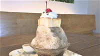 夏限定!チョコレート専門店の「かき氷」など 高松市で味わえるひんやりスイーツを紹介 香川