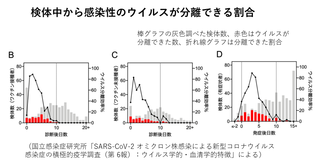 感染性ウイルスの分離割合