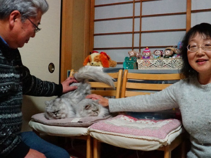 佐藤夫妻に撫でてもらうカマンとクラン「今は幸せ」