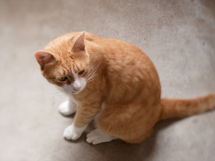 「コンクリートの上にのってはじめてその冷たさがわかるよ」(小林写函撮影)