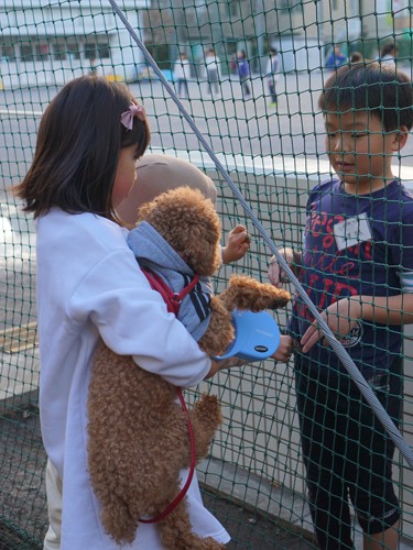 放課後の校庭で遊んでいた冬真くんが「ポッキー!」。実優ちゃんがスキーに行く時に「預かってくれる仲です。