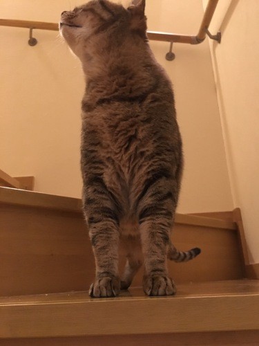 探検って楽しいよね