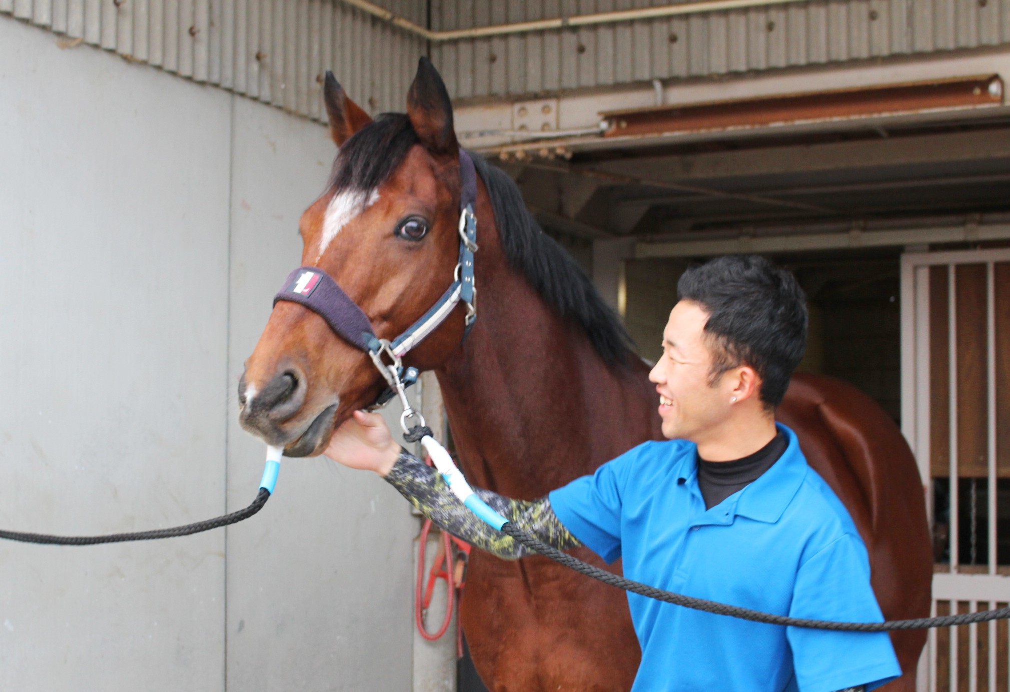 “引退馬”に生きる道を…香川の高校でレースを引退した馬を飼育 1頭は競技会にも出場!