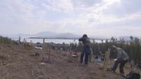 人生の記念植樹で里山の再生を 香川・三豊市