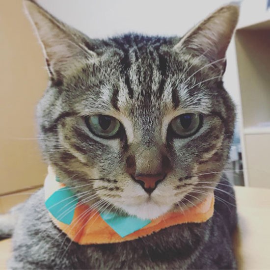 やんちゃに育ったしぐれ