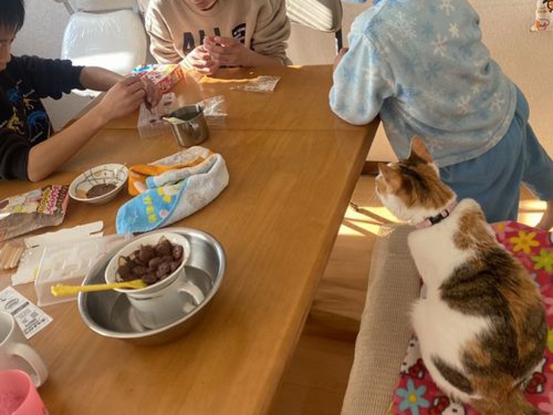 バレンタインの1週間前に手作りチョコを作成中。マーズもふつうに参加して、4人兄弟みたい(Aさん提供))