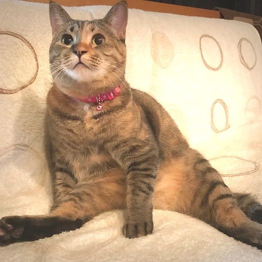 ソファでのんびり