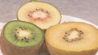 緑・黄で栄養に違いは?皮に毛があるのはなぜ? 生産者に聞く「キウイ」の疑問【みんなのハテナ】