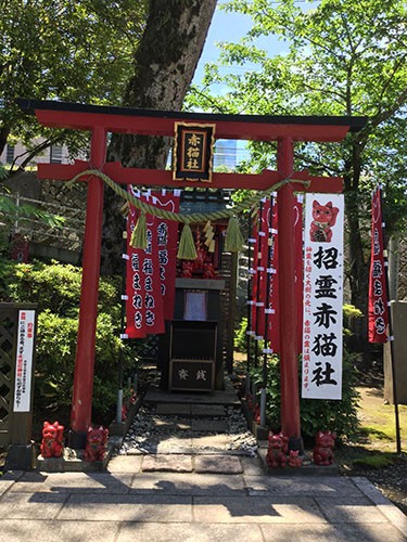 こちらが福良天満宮の一角にある、「招霊赤猫社」。お詣りするときは、まず手水舎で心身を清め、本殿(福良天満宮本殿)、人生の神様・瑜伽神社、生活の神様・愛宕神社にお詣りをしてから!