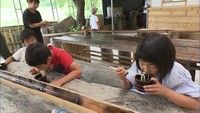 岡山・香川で「真夏日」 記録的な暑さで熱中症…一方にぎわった場所も