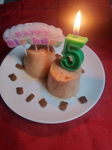 誕生日おめでとう