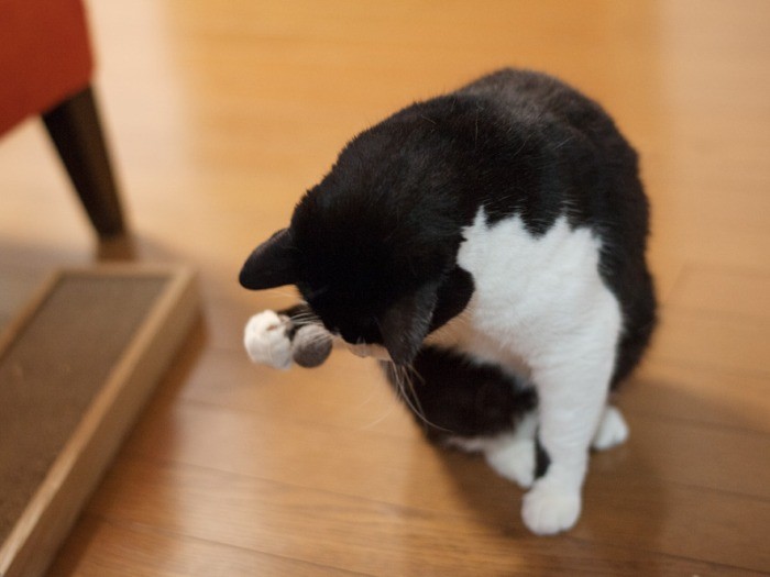 「わ!すべった」(小林写函撮影)