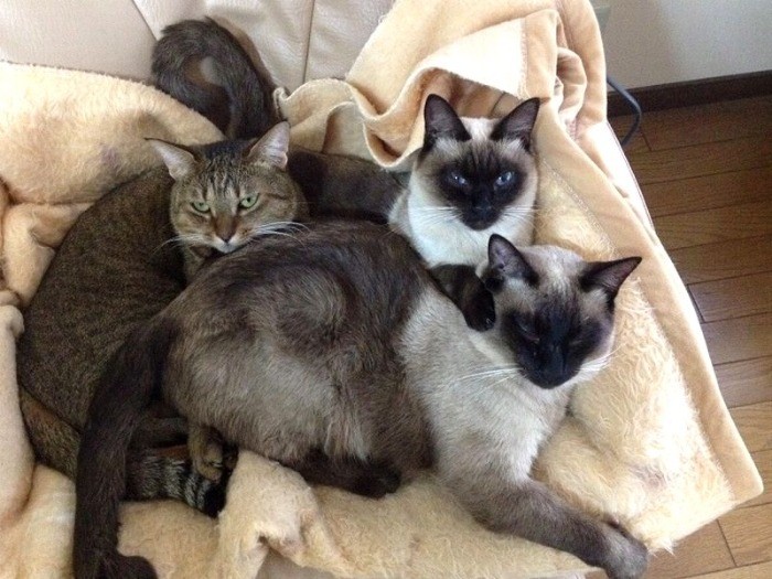 みんなとも仲良くなれた