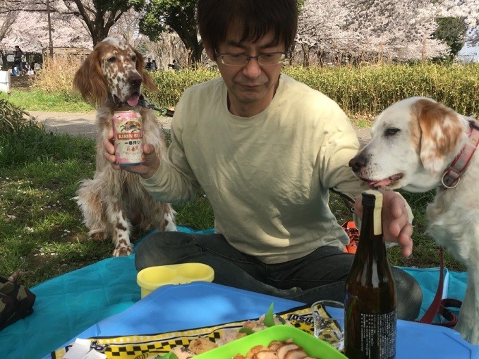 17歳1カ月(右)お花見「パパお酌しましょうか」(長谷川さん提供)