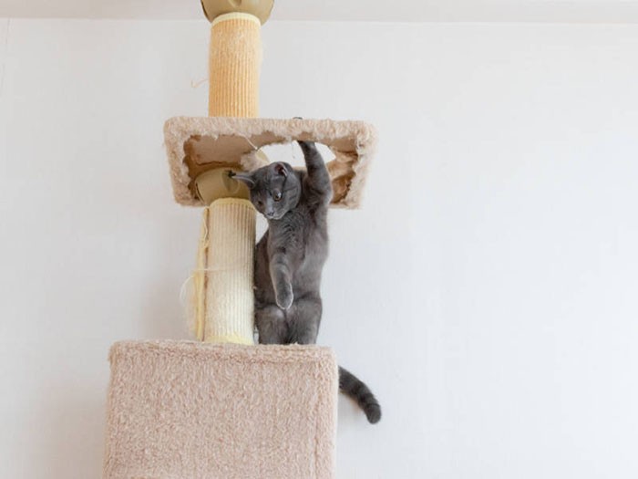 手すりスタイルもかわいいね