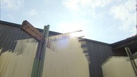 この季節だからこそ見られる景色…小豆島の冬の風物詩「天日干し」を高松市で