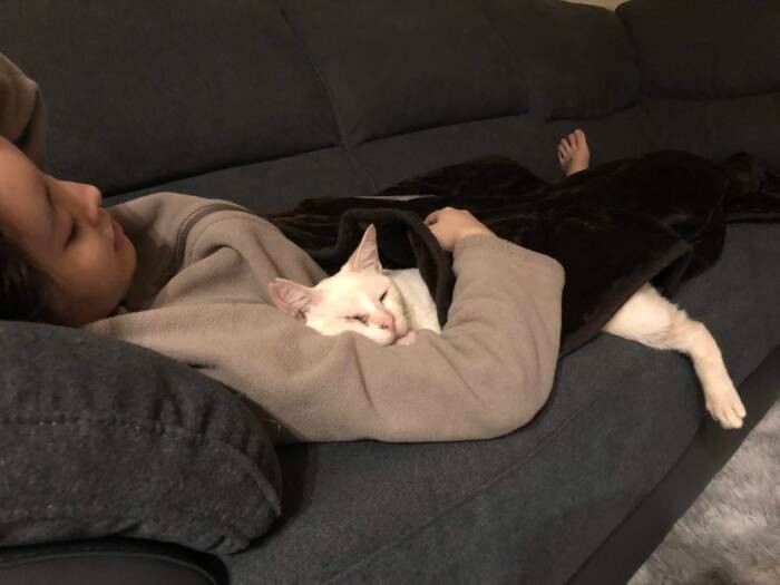 芋子さんの側でくつろぐカネキ。眠るときはいつも人の側に来る