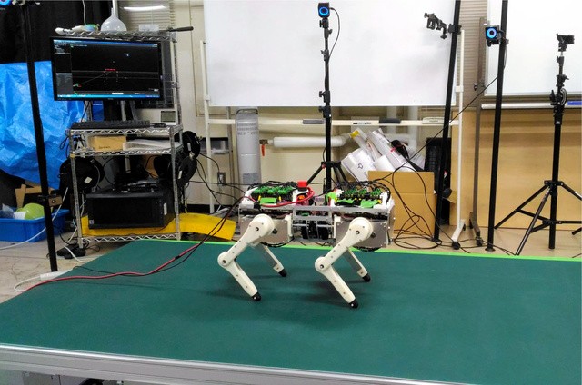 ロボットを使って猫の歩き方を再現している様子=研究チーム提供